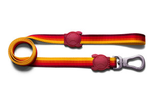 Venice_stripes_leash_collar_zeedog_385310af-16b8-42a9-882d-b41d4b02e0d5_1024x1024