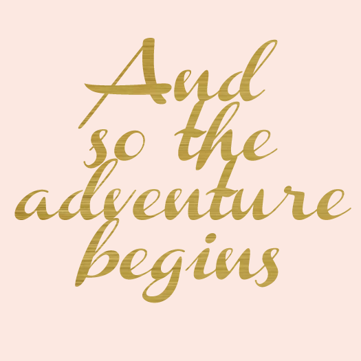 andsotheadventurebegins