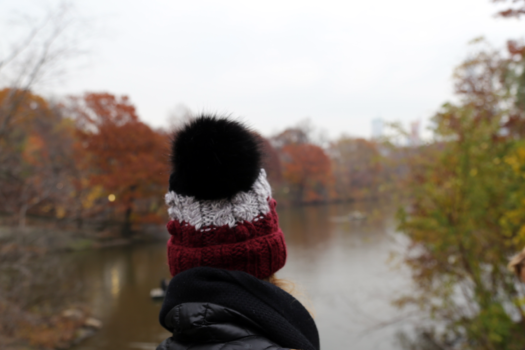 beanie-central-park-crop