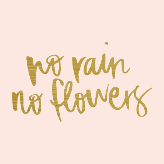 no-rain-no-flowers